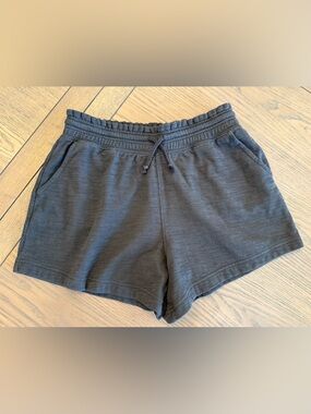 Aerie Endless Summer Short